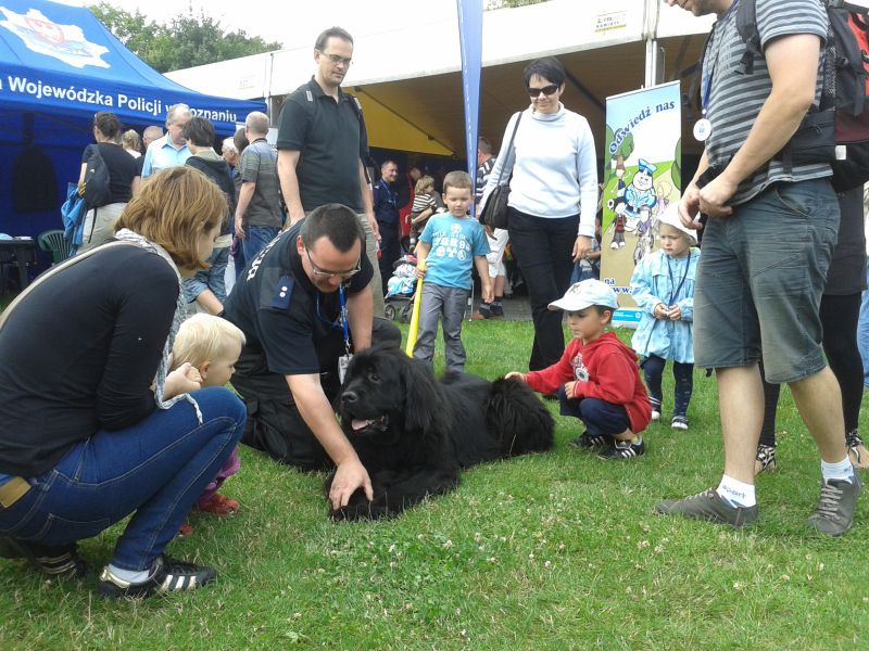 szreniawa policja psy - Agnieszka Maciejewska