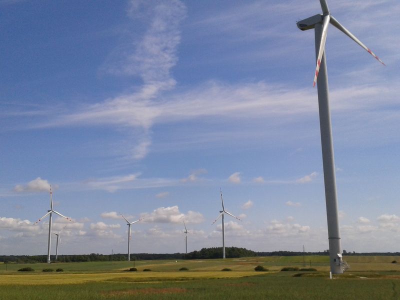 Wiatraki na polu - Szymon Mazur