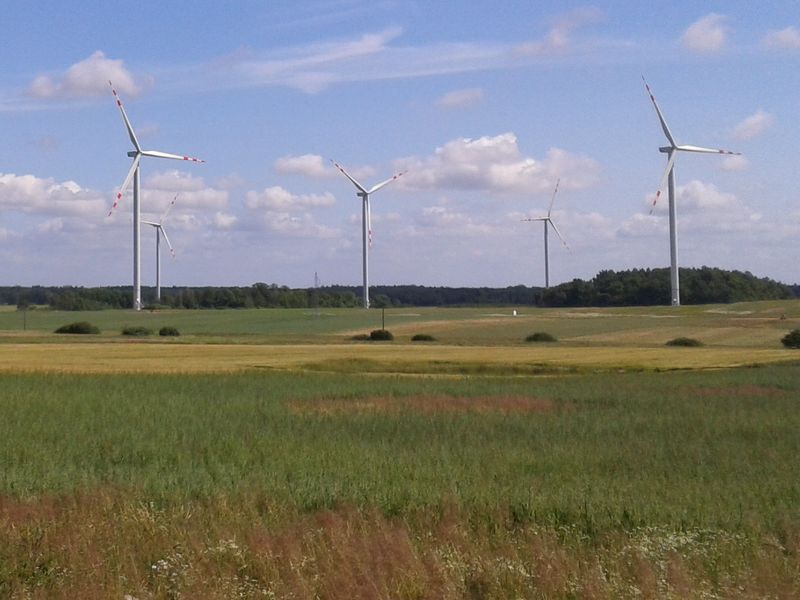 Wiatraki na polu - Szymon Mazur