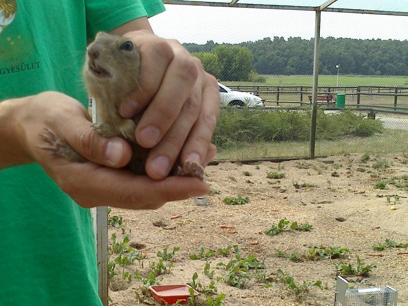 Wojciech Chmielewski