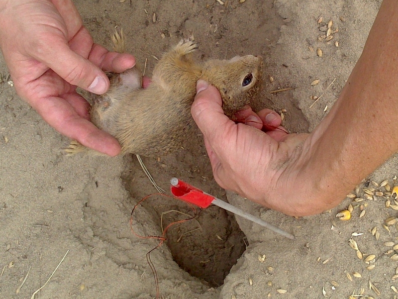 Wojciech Chmielewski