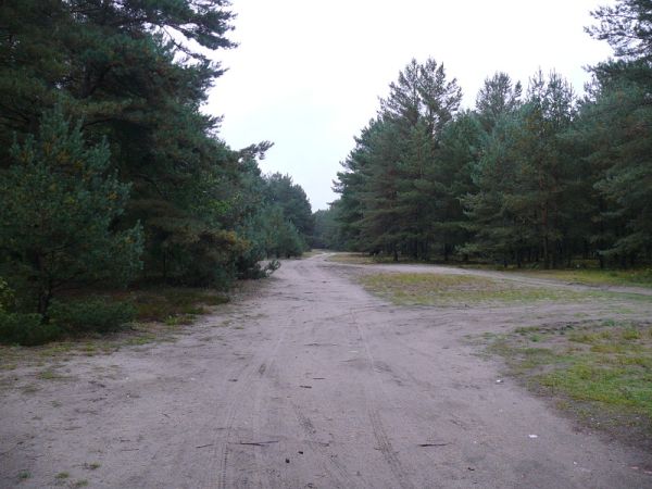 ul. Śniadeckich Piła - Wiesława Pinkowska