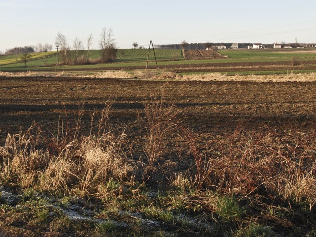 Obszary wiejskie, pola... - Przemek Modliński - Radio Merkury