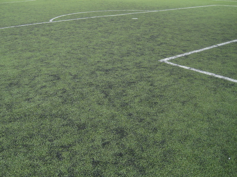 boisko siatka bramka (2) - Jacek Butlewski