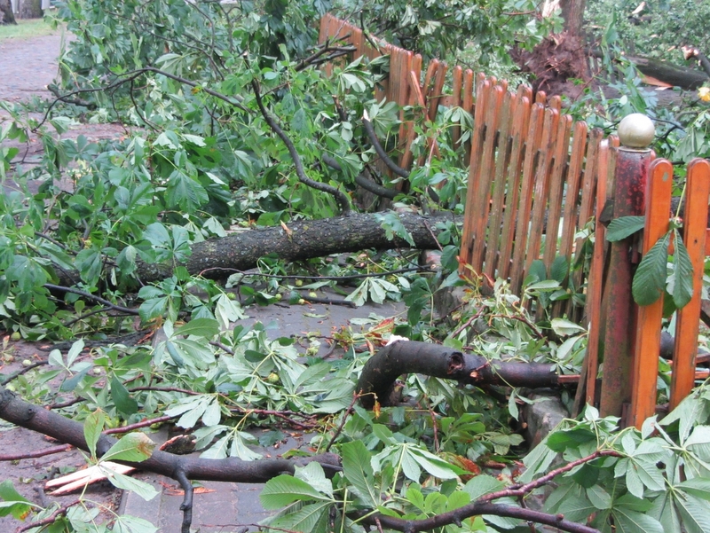 Nawałnica, wichura - Zielęcin - Krzysztof Sadowski