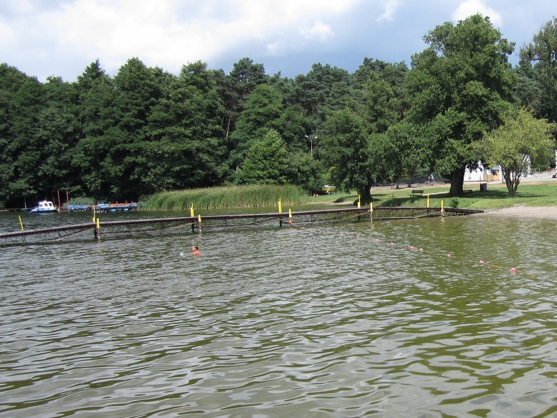 Jezioro Strzeszyńskie, woda, ryby - Adam Michalkiewicz