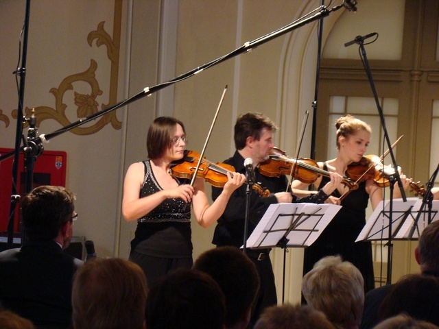 arte dei suonatori - ostrów (4) - Piotr Niewiarowski