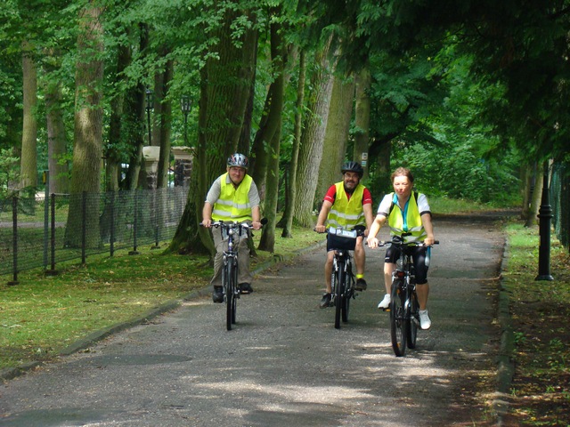 Filip Mójta, Witold Biesiada i Piotr Niewiarowski