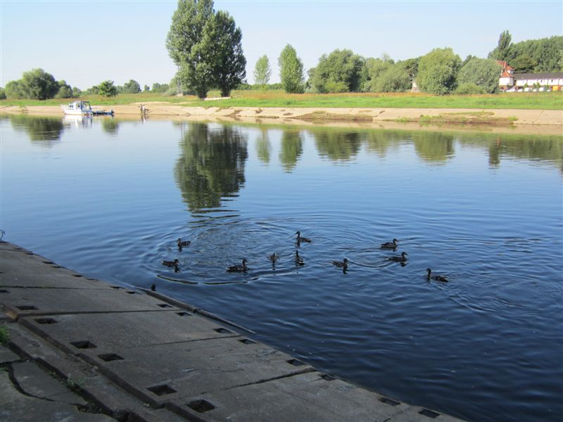 wędkarze nad Wartą - Adam Michalkiewicz