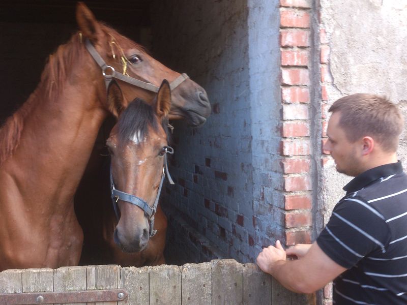 konie z posadowa - uratowane (3)