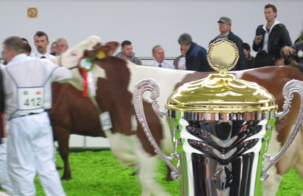 Wojciech Chmielewski