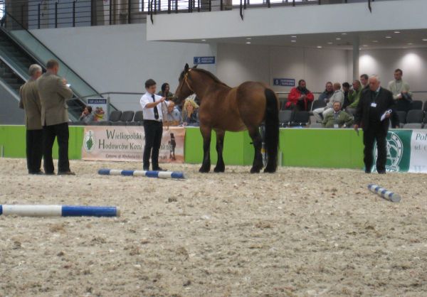 Wojciech Chmielewski