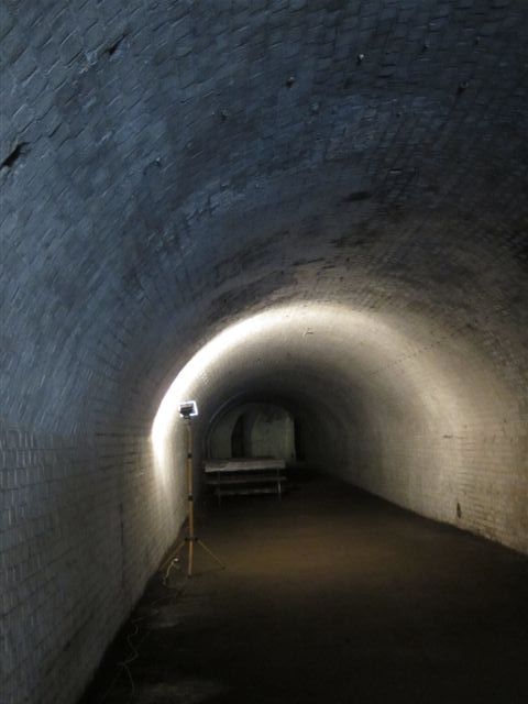 Aleksandra Włodarczyk