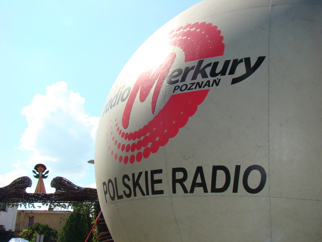 Piotr Niewiarowski jr