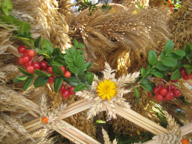 Dożynki wojewódzkie, Środa 2013 - Rafał Regulski