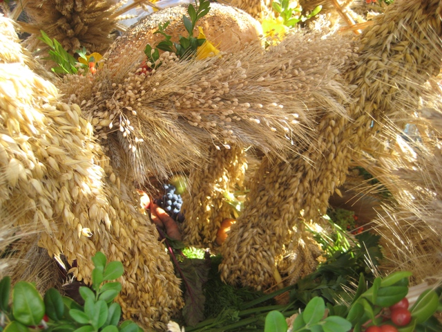 Dożynki wojewódzkie, Środa 2013 - Rafał Regulski