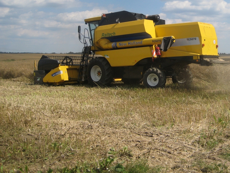 Pole zboża, żniwa, kombajn - Wiesława Pinkowska