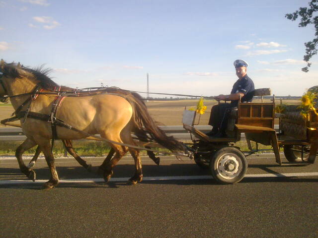 policjant_woznica - KPP Gniezno