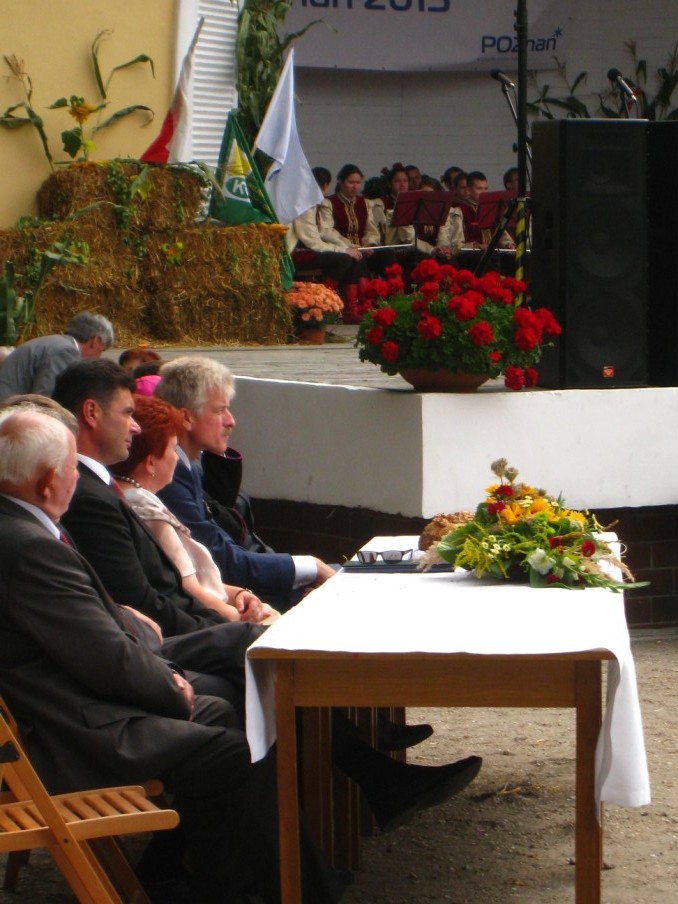 Agnieszka Maciejewska