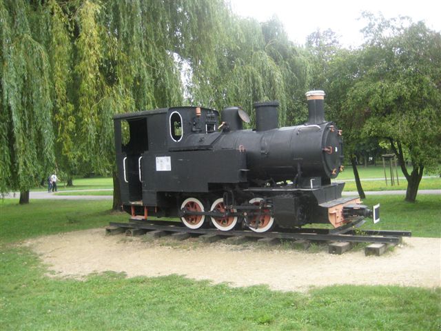 ostrow_technikum - Danuta Synkiewicz