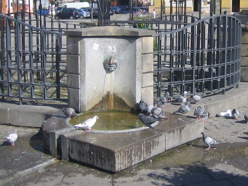 fontanna_w_gnieznie_stara - Rafał Muniak