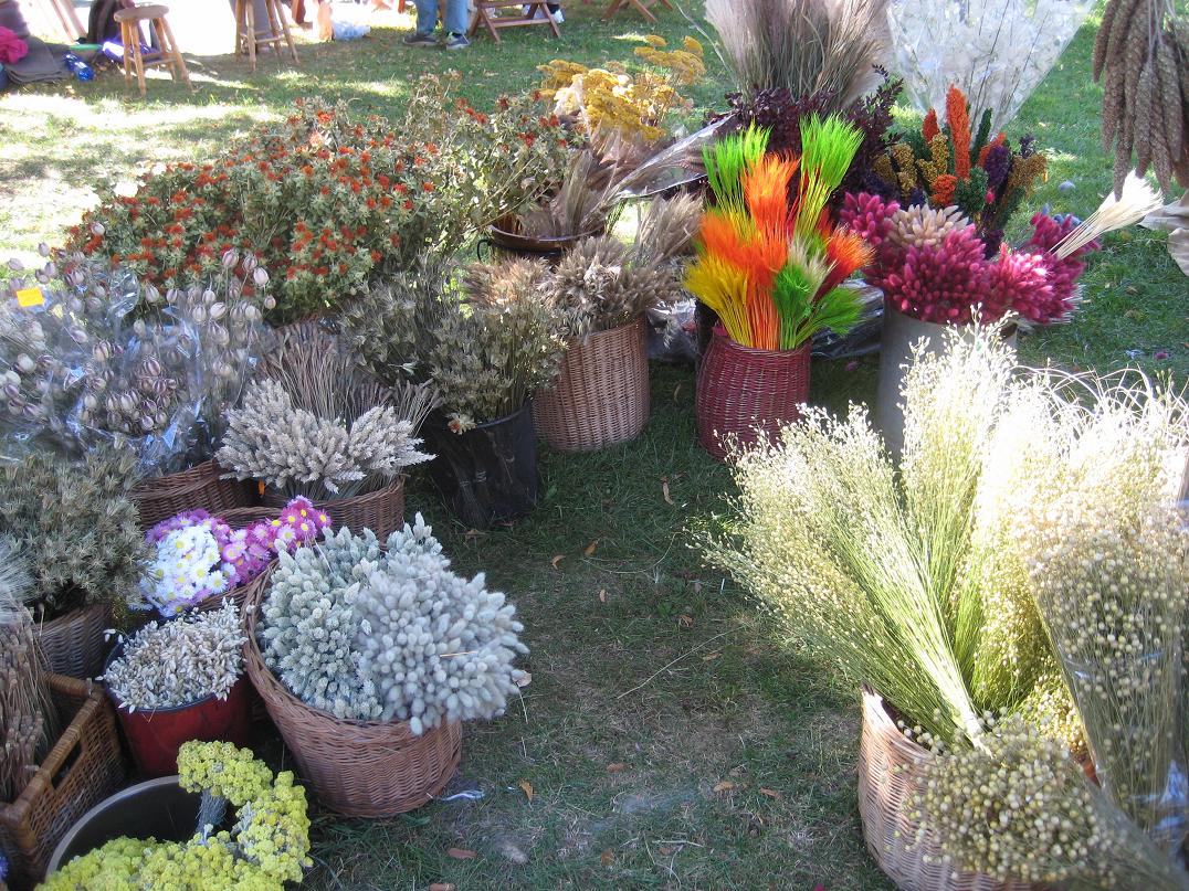 Dziekanowice pożegnanie lata 2013 (20) - Jacek Butlewski