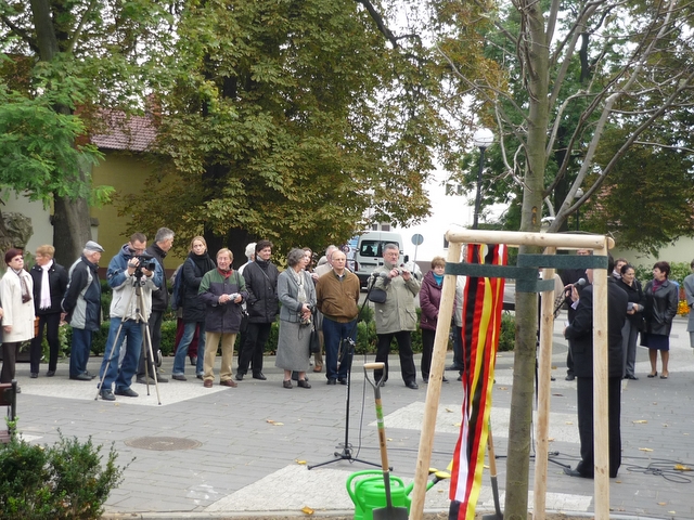 Sadzenie lipy nad czaszką - Krzysztof Sadowski