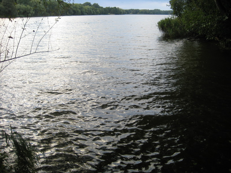 Rusałka - Jacek Butlewski