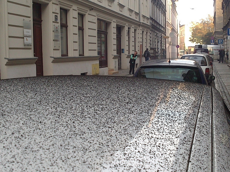 Wojciech Chmielewski