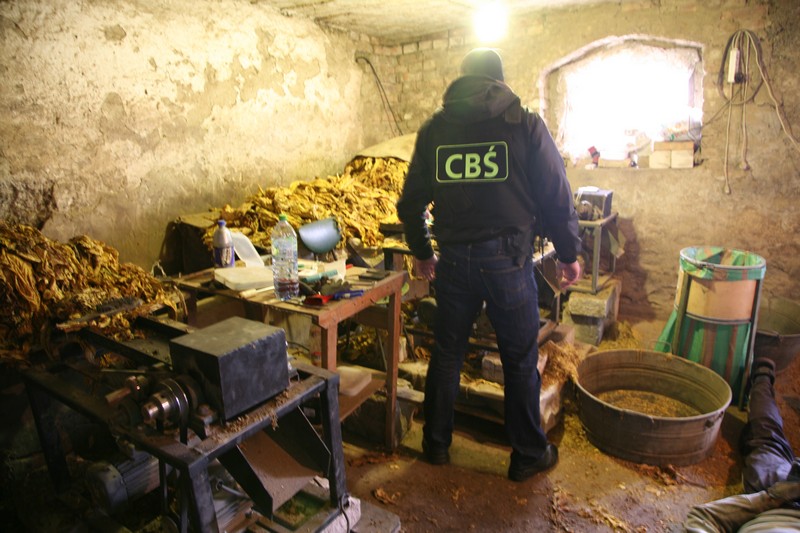 fabryczka tytoniu, zatrzymania CBŚ - Policja/Poznań