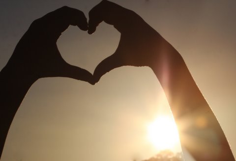 serce wikipedia - Wikipedia