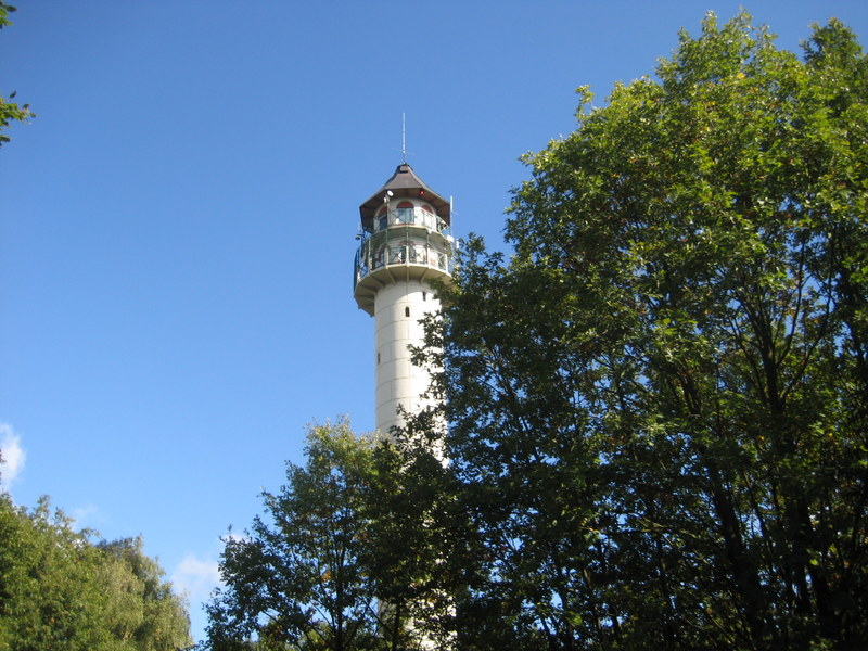 puszcza Zielonka (5) - Jacek Butlewski