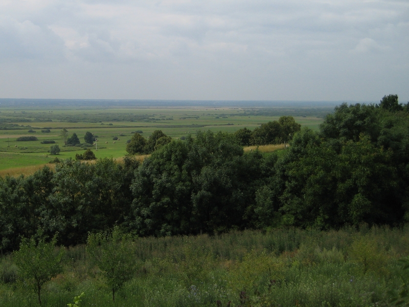 dolina noteci - Wiesława Pinkowska