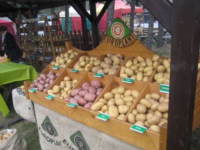 Pyra Szreniawa (2) - Jacek Butlewski