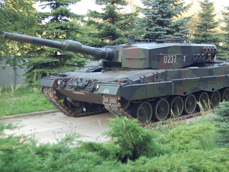 leopardy wzmot (3) - WZM S.A. Poznań