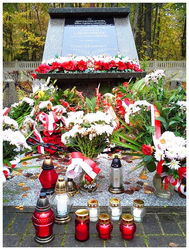 Znicze ku czci pomordowanych w Gęsi i Krępie