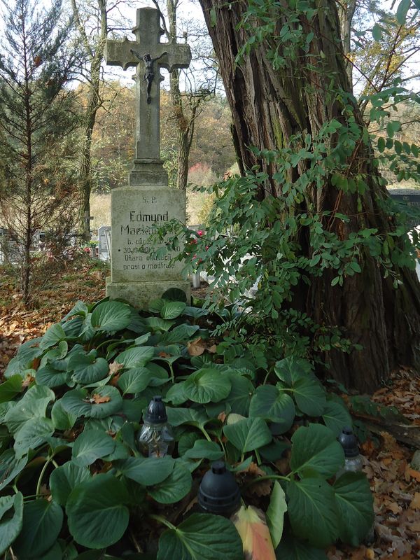 Znicze zapalone w Skokach przez Braci Kurkowych i Tow. Pamieci Powst. Wielkopolskiego