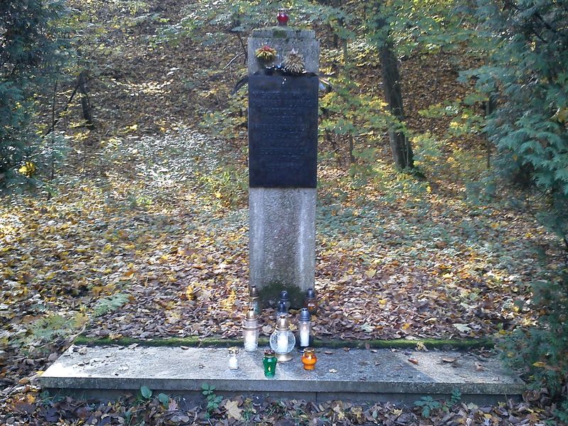 Znicze w lasku na Dębinie w Poznaniu