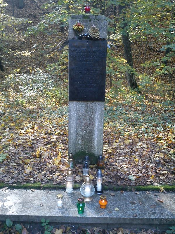 Znicze w lasku na Dębinie w Poznaniu