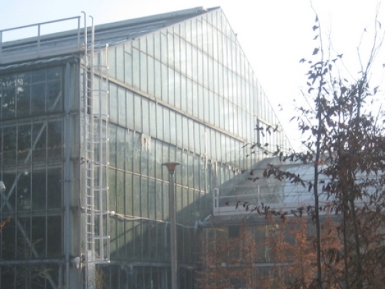 Palmiarnia Poznańska - pawilon - Archiwum Radia Merkury