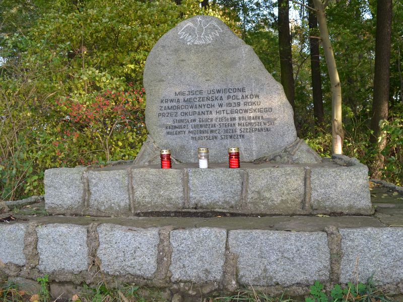 Pleszew-Malinie-Boreczek. Adam i Wojciech zapalili znicz przy pomniku