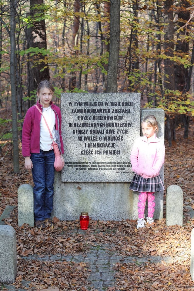 Katowice Las Panewnicki