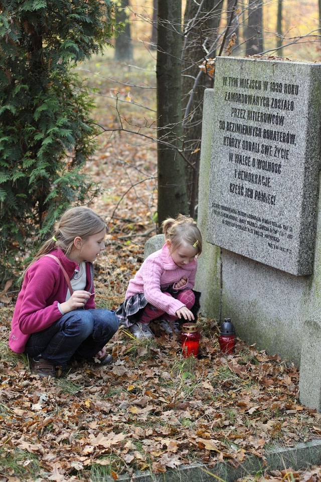 Katowice Las Panewnicki