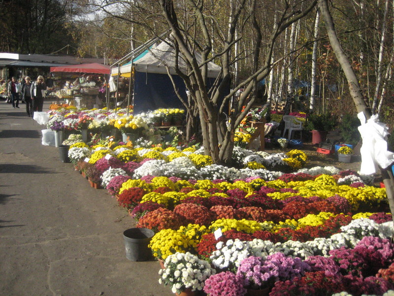 cmentarz (3) - Jacek Butlewski