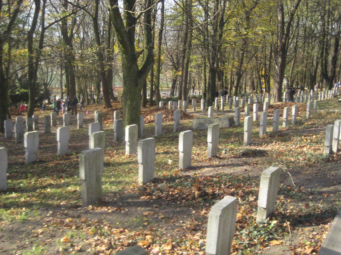 sprzątanie cytadeli 2013 - Jacek Butlewski