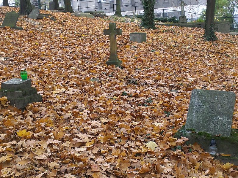 cmentarz zasłużonych 2013 (5) - Adam Michalkiewicz