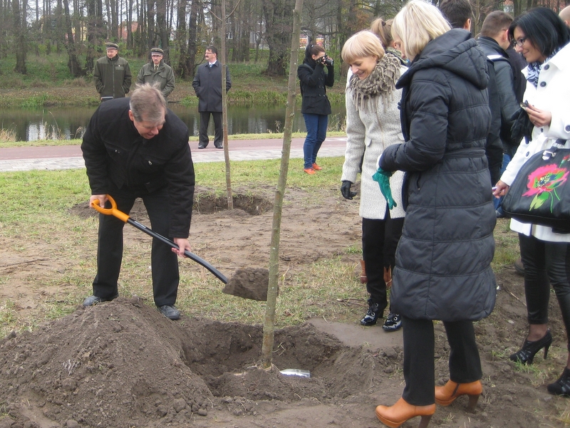 pila sadzenie 500 drzew - Wiesława Pinkowska