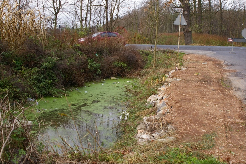bobry zniszczyly droge 3 - Starostwo Powiatowe w Kaliszu
