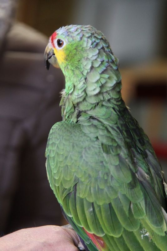 Grzegorz Maciejewski