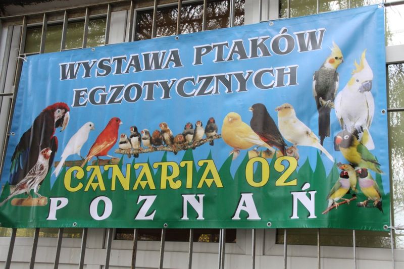 Grzegorz Maciejewski